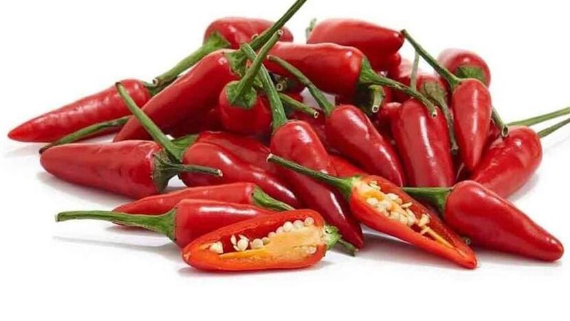 crvena paprika u Vasaxal